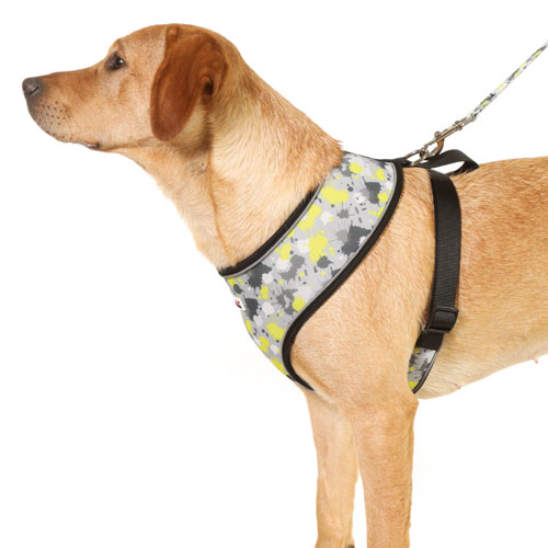 Doodlebone Air Mesh Harness