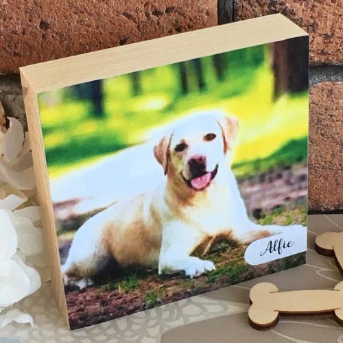 Square Dog Photo Block