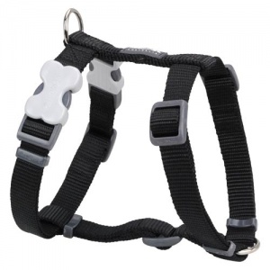 Red Dingo Black Dog Harness