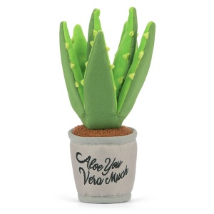 Blooming Buddies Aloe Vera Plant Dog Toy