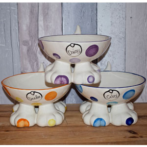 https://www.dfordog.co.uk/user/products/thumbnails/ceramic-dog-bowl-on-legs.jpg