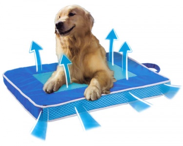 Chill Out Fresh Breeze Dog Mat