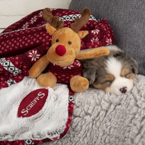 Dog Blanket & Reindeer Toy Gift Set