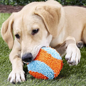 Chuckit Indoor Dog Ball