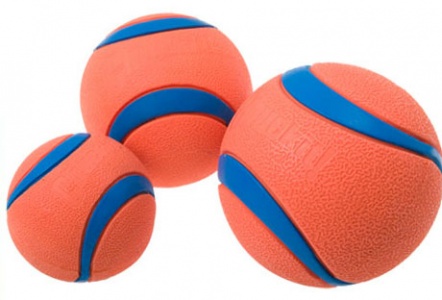 Chuckit Ultra Ball