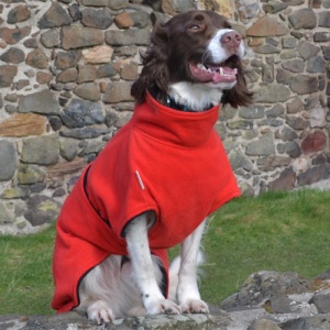 Freckles Dog Drying Coat - Ultimate