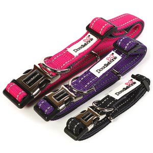 Doodlebone Padded Dog Collar