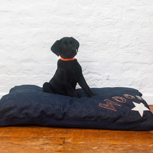 Doza Dog Cushion Denim Woof n Star