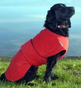 Freckles Dog Drying Coat - Underbelly