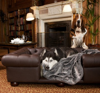 Balmoral Brown Leather Dog Sofa