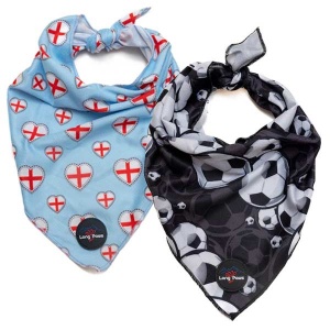 Football Dog Bandana