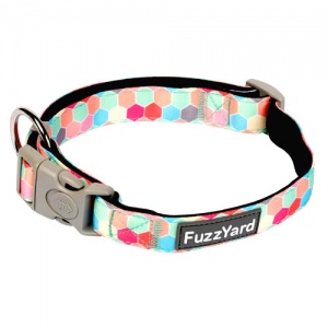 FuzzYard Dog Collar - The Hive