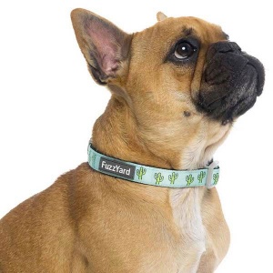 FuzzYard Dog Collar - Tucson