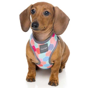 FuzzYard Dog Harness - The Hive