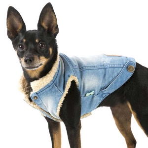 FuzzYard Rebel Denim Dog Jacket