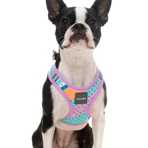 FuzzYard Step-in Dog Harness - Footloose