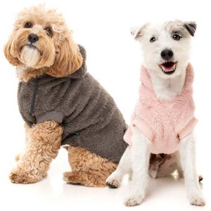 FuzzYard Plush Teddy Dog Hoodie