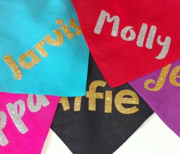 Dazzle Personalised Dog Bandanas