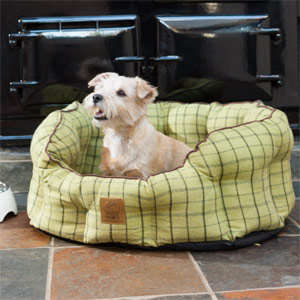 Green Tweed Oval Snuggle Bed