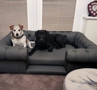 Balmoral Grey Real Leather Dog Sofa