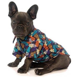Hawaiian Dog Shirt - Mahalo
