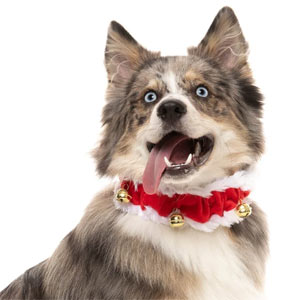 Jingle Bells Christmas Dog Collar