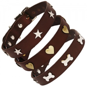 Studded Brown Leather Dog Collar