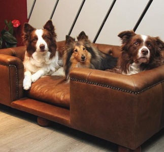 Sandringham Natural Real Leather Dog Bed