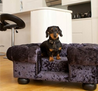 Balmoral Ebony Velvet Luxury Dog Sofa