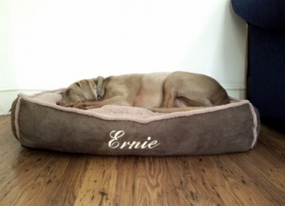 Personalised Dog Bed - Cradle