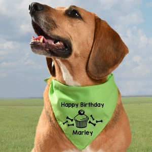 Personalised Dog Birthday Bandana