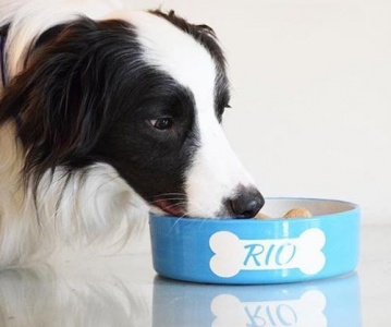 Personalised Dog Bowl - Bone Straight