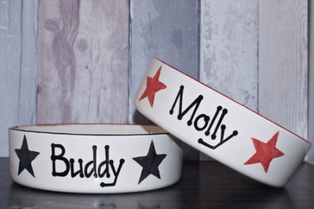 Personalised Dog Bowl - Stars Straight