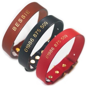 Personalised Leather Dog Collars