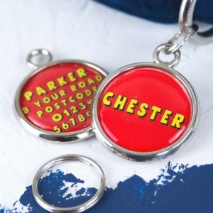 Personalised Pet Name Tag