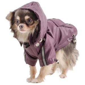 Small Bite Waterproof Dog Jacket