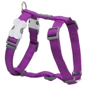 Red Dingo Purple Dog Harness
