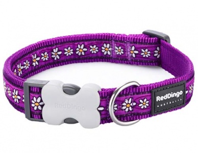 Red Dingo Dog Collar Daisy Chain Purple