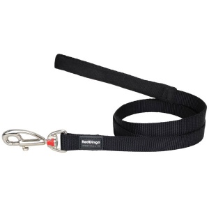 Black dog red collar 2025