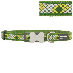 Red Dingo Monty Green Dog Collar