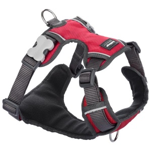 Red Dingo Padded Dog Harness - Red