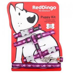 Puppy Harness, Collar & Lead Set - Breezy Love Purple