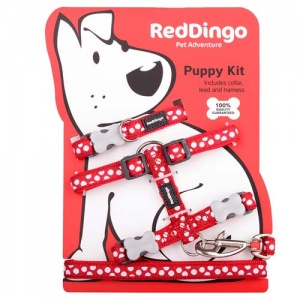 Puppy Harness, Collar & Lead Set - White Spots on Red