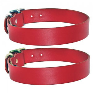 Red Leather Dog Collar