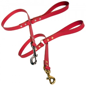 Red Leather Dog Lead