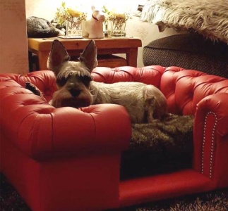 Balmoral Red Real Leather Dog Sofa