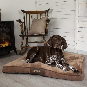 Scruffs Chester Dog Mattress