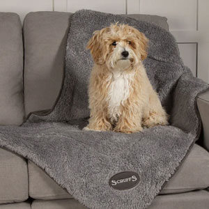 Scruffs Cosy Dog Blanket