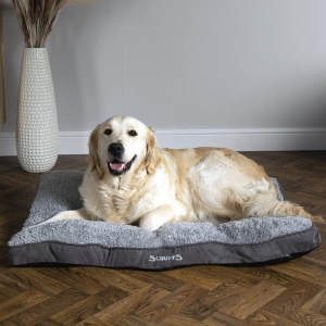 Scruffs Cosy Dog Mattress Bed