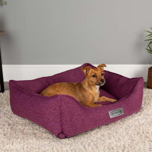 Manhattan Plush Box Bed